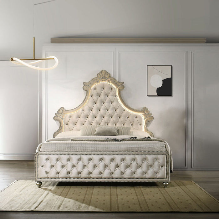 Lucienne - Bed With LED