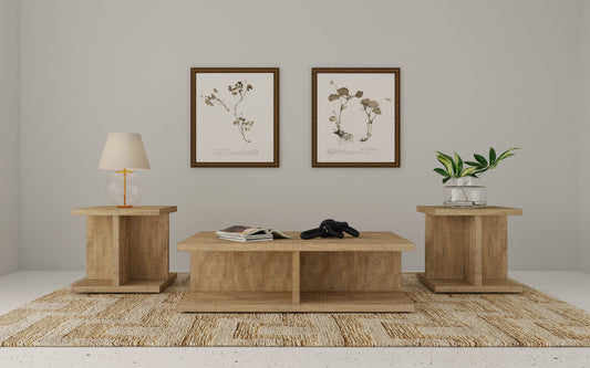 Cortona 3-piece Coffee and End Table Set Mango