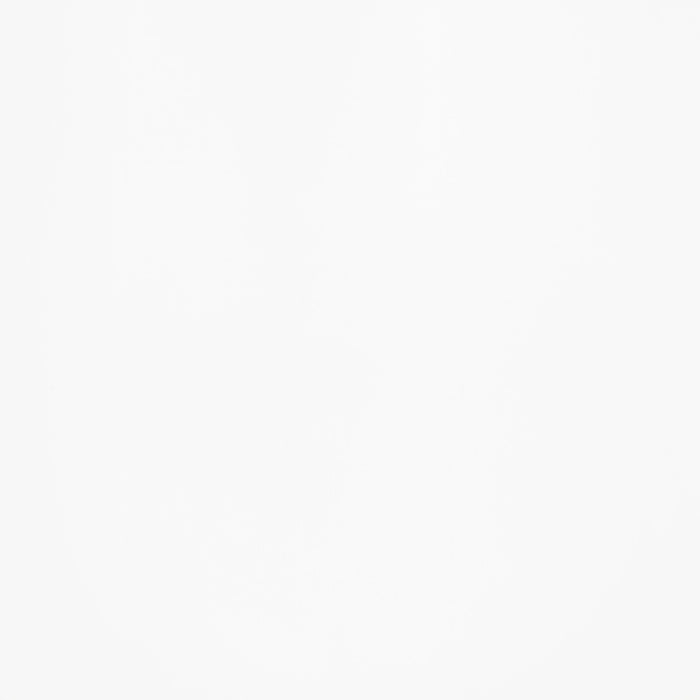 Andrews Windsor Spindle Back Dining Side Chair White (Set of 2)