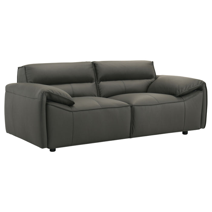 Buxton 2-piece Leather Upholstered Sofa Set Graphite