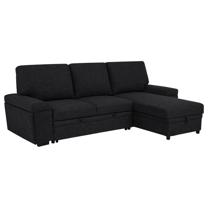 Demko Sleeper Sectional Sofa with Speaker and Storage Chaise Black