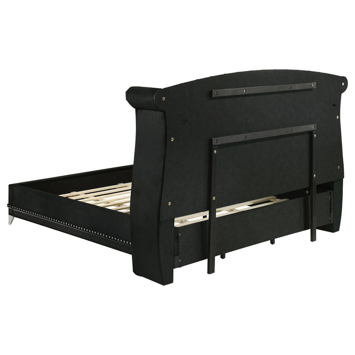 Barzini Upholstered Eastern King Wingback Bed Black