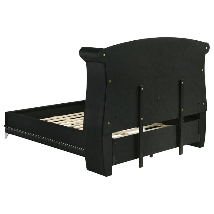 Barzini Upholstered Queen Wingback Bed Black