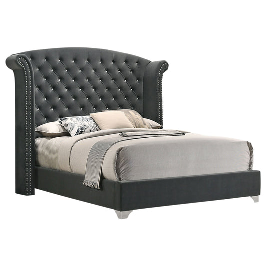 Melody Upholstered Queen Wingback Bed Grey
